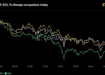 Crypto market selloff with Solana Ether and XRP falling