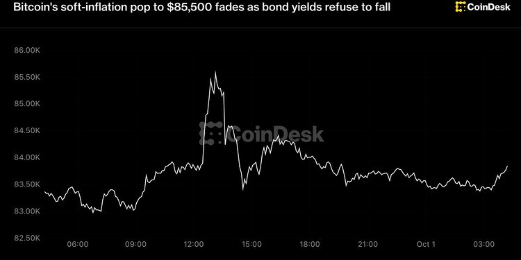 Bitcoin price rally fades as Treasury yields pressure crypto markets