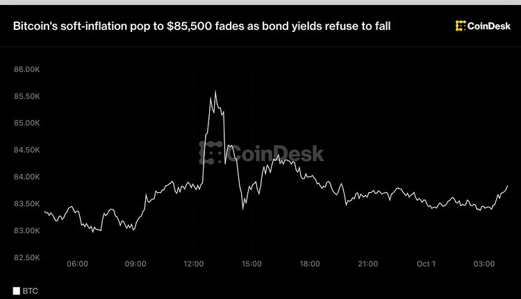 Bitcoin price rally fades as Treasury yields pressure crypto markets