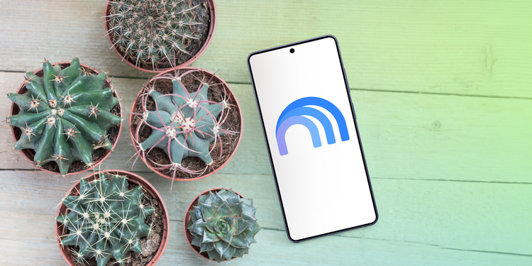 Gemini Notebook AI gardening assistant with potted plants